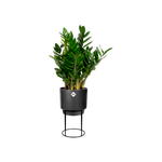 b.for studio rund 22cm living schwarz